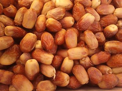 Dry Zahidi Irani Dates (Khajoor)