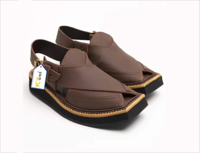 Kaptaan Chappal Matte Brown 3