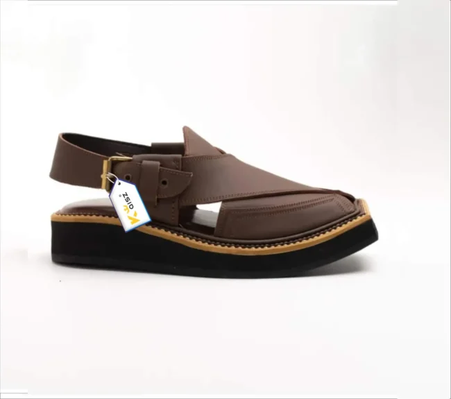 Kaptaan Chappal Matte Brown 3