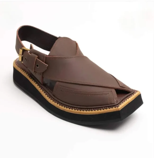 Kaptaan Chappal Matte Brown 3