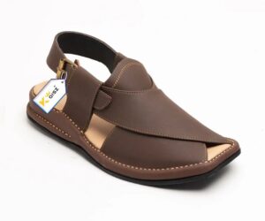 Zalmi Chappal Peshawari Matt Brown