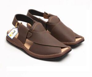 Zalmi Chappal Peshawari matte brown (1)