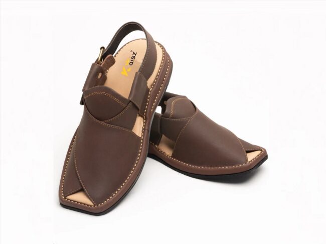 Zalmi Chappal Peshawari matte brown (1)