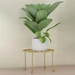 Modern circular Metal Plant Stand Pakistan with wood shelf holding an orange flower pot stand.