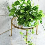 Modern circular Metal Plant Stand Pakistan with wood shelf holding an orange flower pot stand.