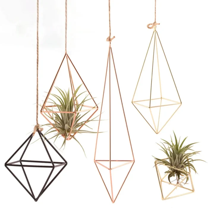 Air Plant Rack Holder