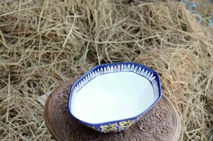 Blue Pottery Deep Bowl