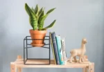 Metal Cube Plant Holder Stand-=