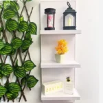 Wall Mounted Wooden Shelves