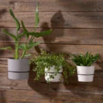 flower pot ring holder