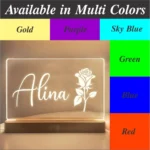 Customized 3D Illusion Couple Name Lamp Pakistan personalized LED lamp (1)
