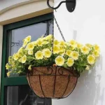heavy duty plant hanging bracket wall mount hook for plants in Pakistan