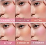 Color Castle High Pigment Liquid Blush - Image 4