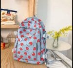 Korean Stylish Backpack for Girls | Cute & Trendy School, College & University Bag | Spacious, Lightweight & Durable Daily Backpack